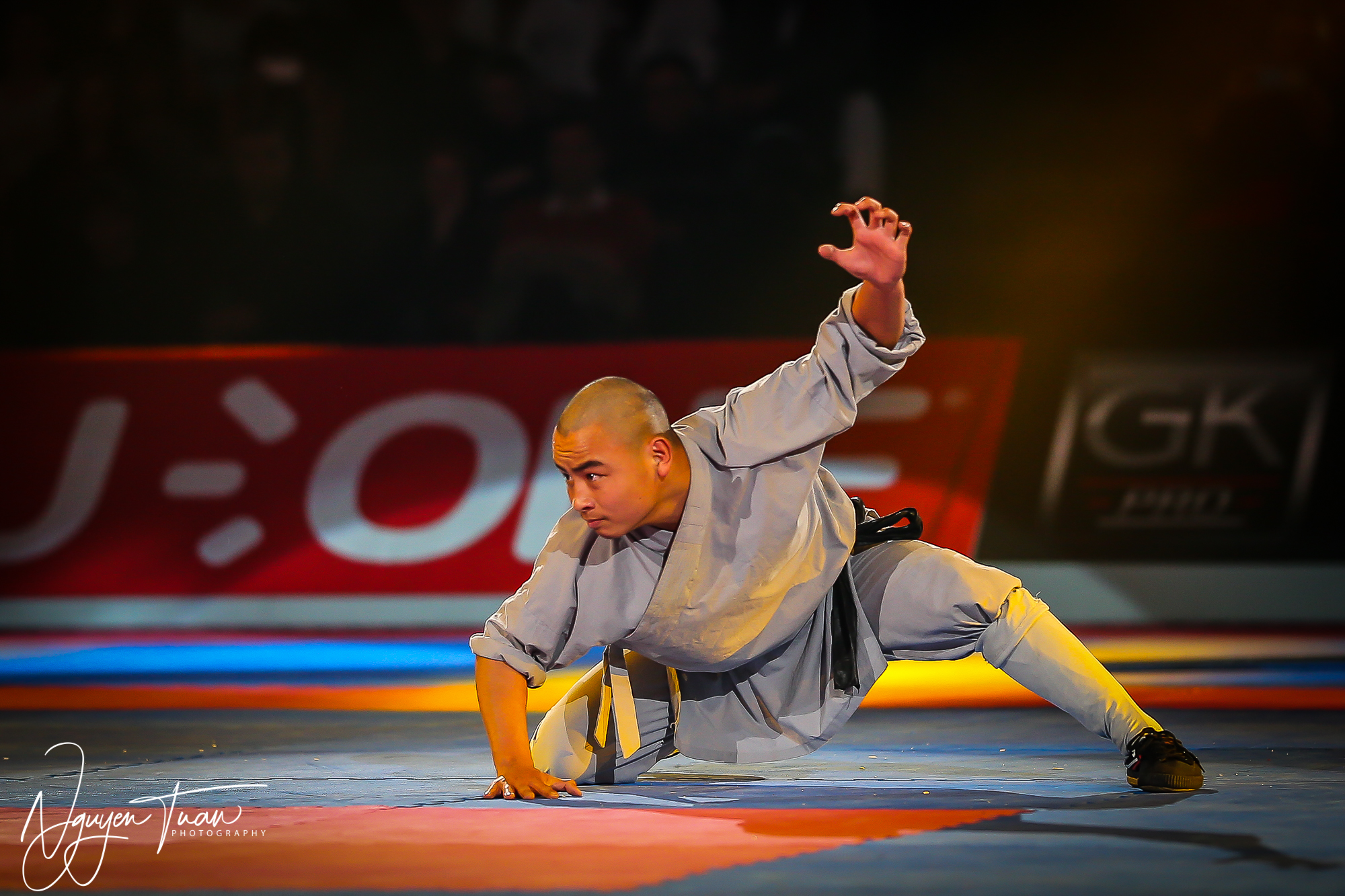 20190324 Festival des Arts Martiaux 5453